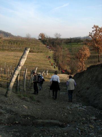 2007 pohod ob meji brez meje sl43