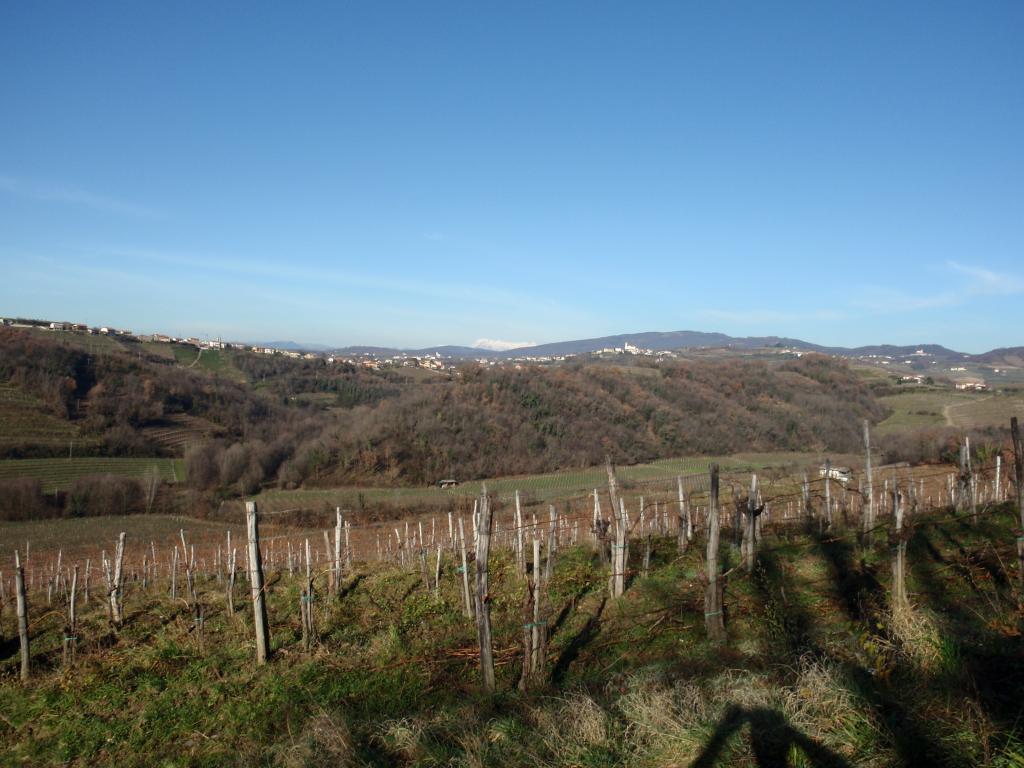 2014 pohod ob meji brez meje sl16