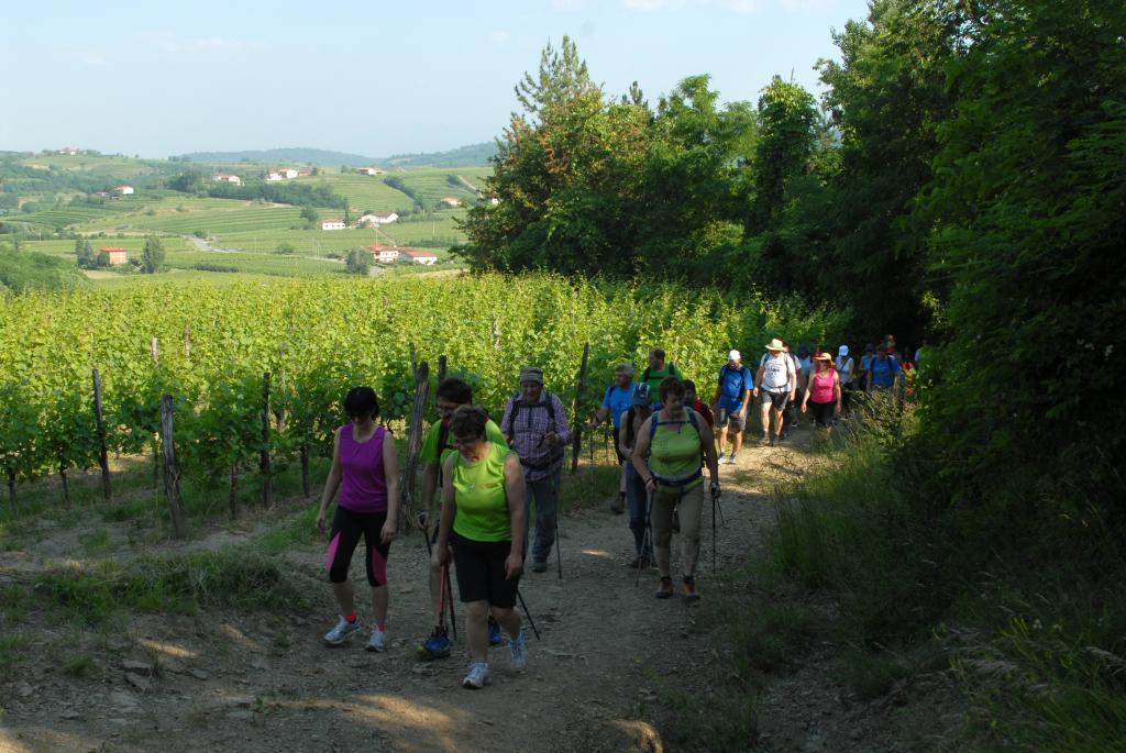 2015 11 pohod od cesnje do cesnje sl4