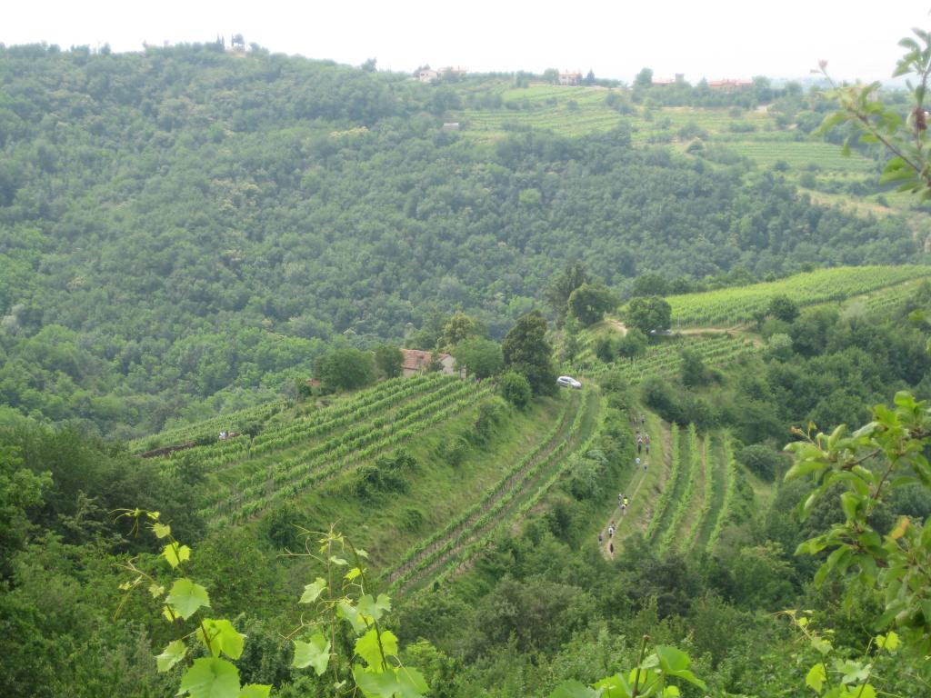 2017 13 pohod od cesnje do cesnje sl8