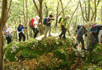 pohod burnjak sl4